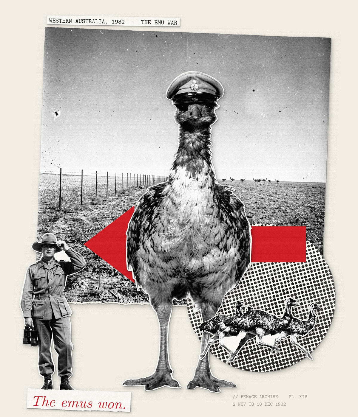 Plate XIV collage, The emus won.: an emu in an officer's cap, a small soldier with binoculars and a red arrow