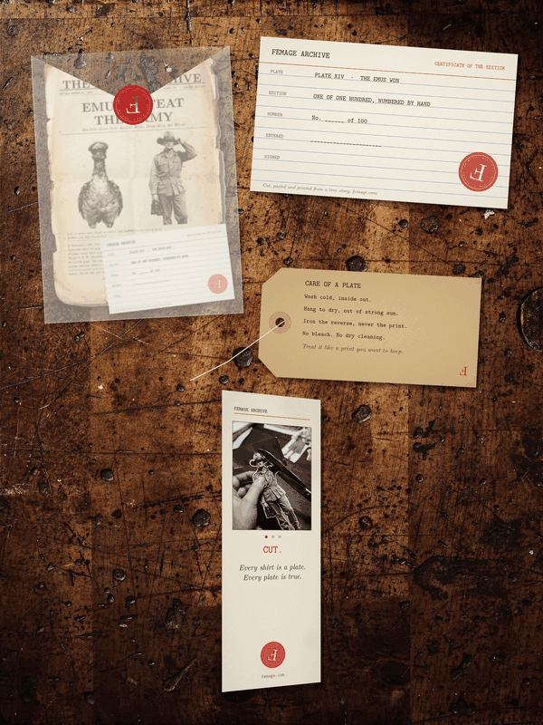 The story card in its sealed sleeve, the certificate of the edition, the care tag and the turning bookmark