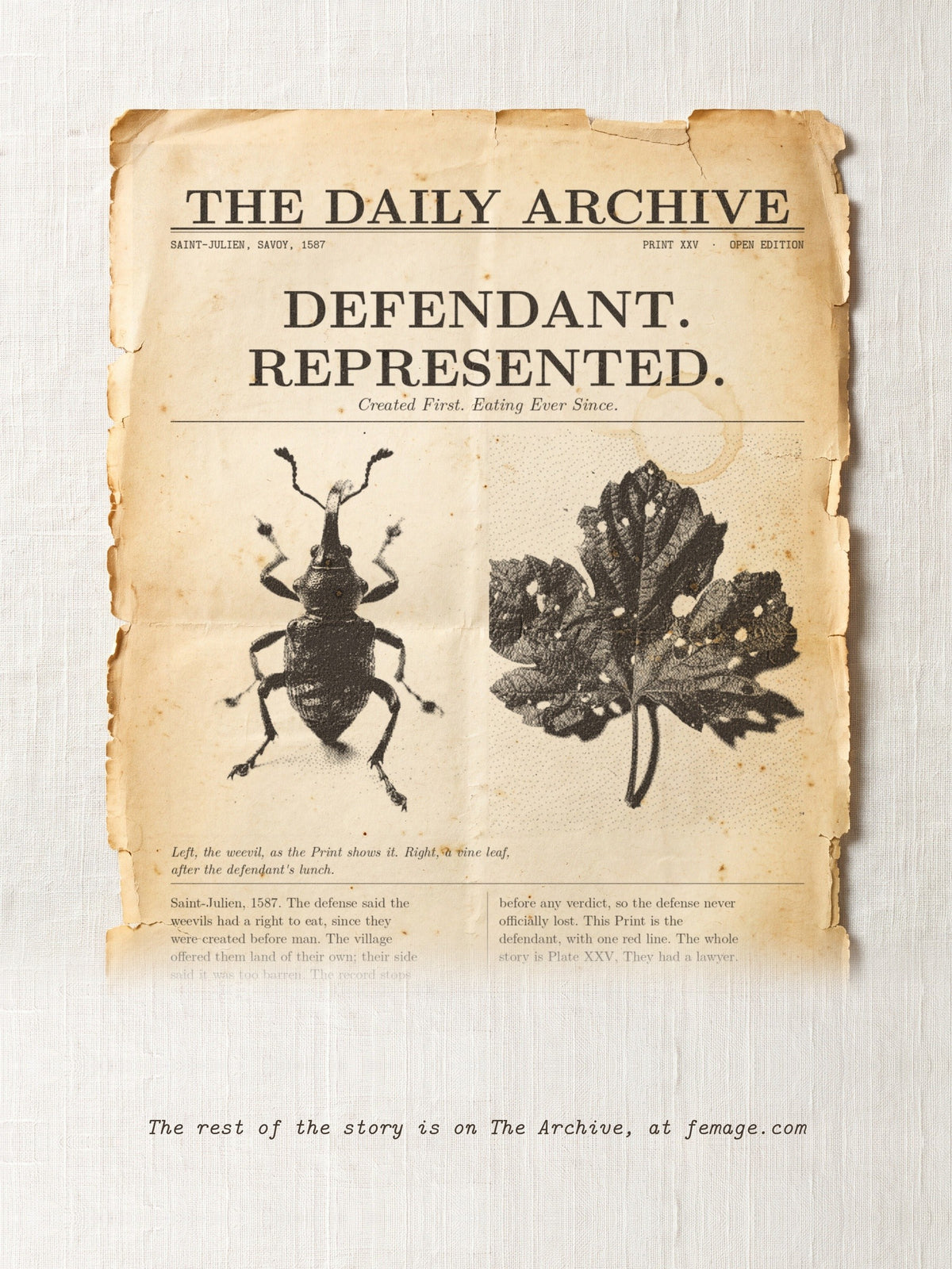 The Daily Archive story card for Print XXV: Defendant. Represented.