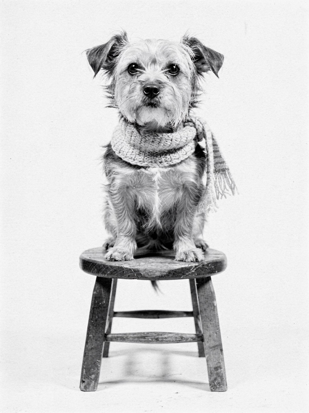 The photograph from the story of Plate XV, from the Femage archive